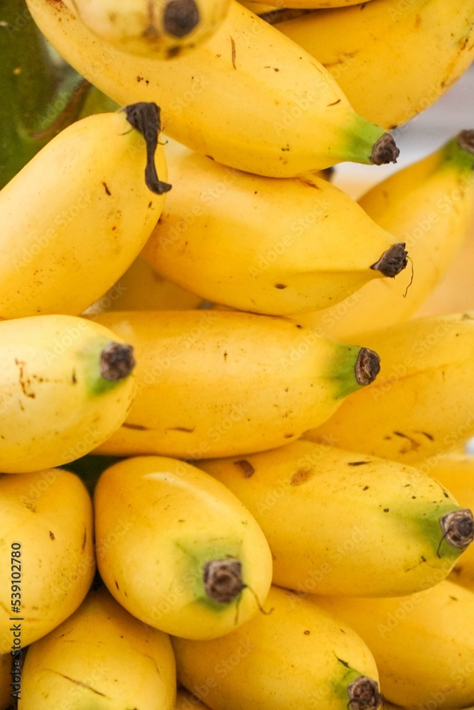 Pile of bananas, close up shot Pile of bananas, close up shot
