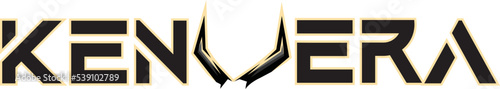 v logo