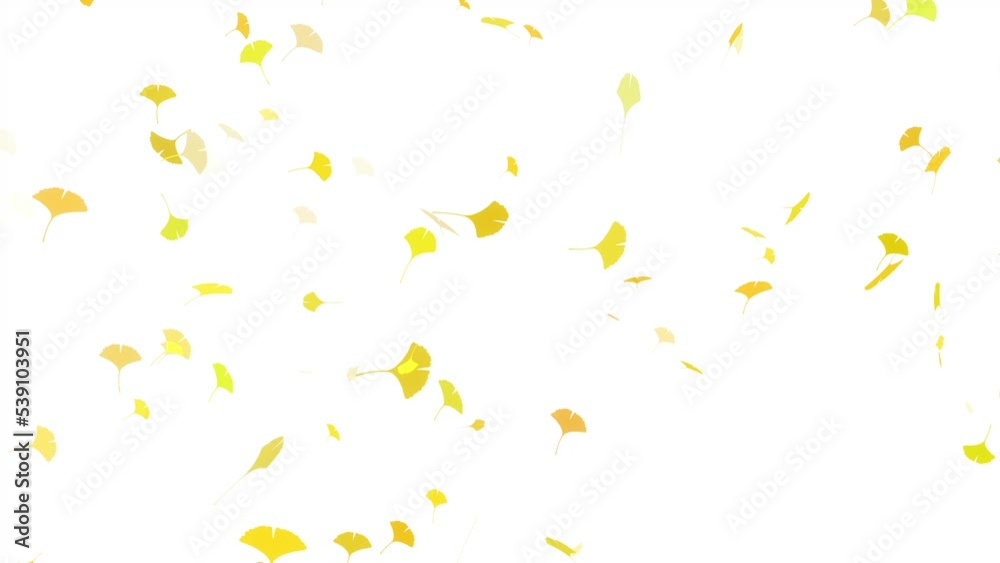 Fallen leaves loop background material Fallen leaves loop background material