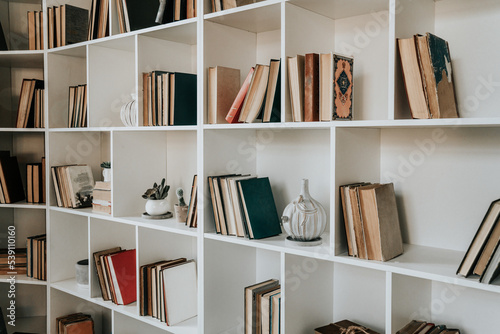 shelves with books