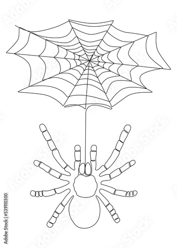 One continuous line of spider and its web. Thin Line Illustration vector concept. Contour Drawing Creative ideas.