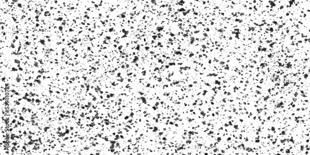 Grunge grainy black and white background with particles, Abstract black and white speckled texture, old and dusty black and white texture, black and white background for any design and decoration. Grunge grainy black and white background with particles, Abstract black and white speckled texture, old and dusty black and white texture, black and white background for any design and decoration.