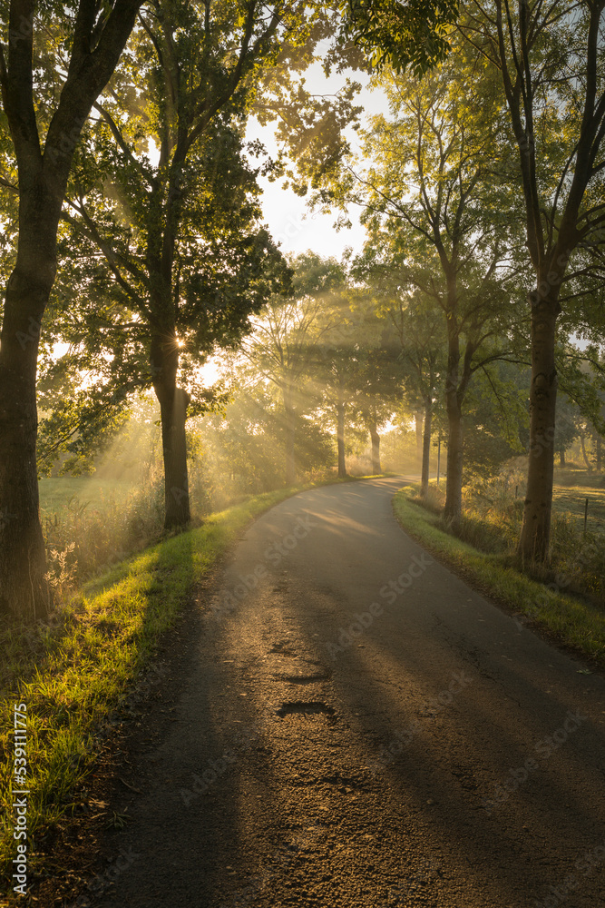 Rural road at sunrise