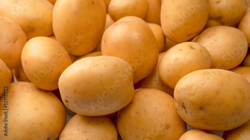 A group of fresh tasty potato as  background.