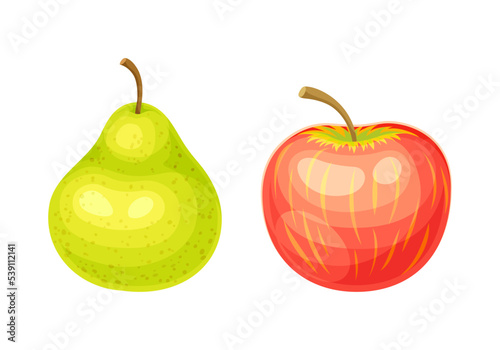 Whole Ripe Apple and Pear Pomaceous Fruit as Organic Garden Crop Vector Set