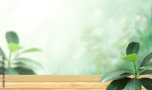 Old wooden table  green leaves and abstract background. Empty wooden table top on blurred backdrop. Rustic wooden board on nature background. Product display template