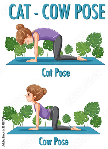 Yoga at home with cat cow pose