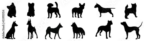 Set of dog silhouette vector. Cute dogs in different breeds, posture, sitting, stand, play. Collection of black pet silhouette element design for logo, card, print, decorative.