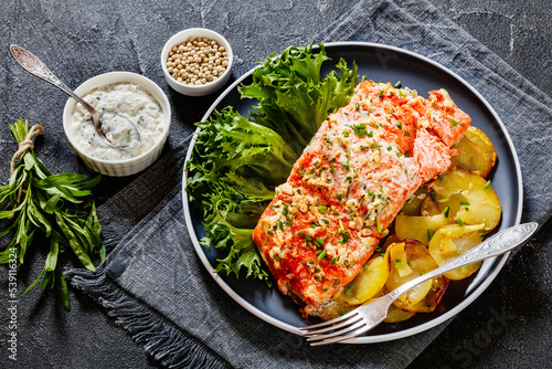 salmon with potato and tarragon sour cream sauce