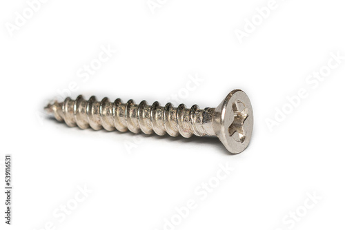 Old rusted screws on a white background