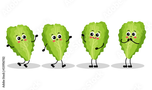 Set of funny green lettuce mascot in different positions