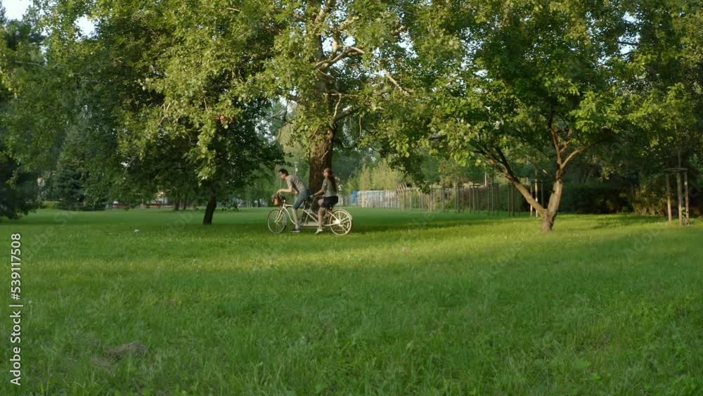 A young married couple, a man and a woman, push a tandem double bike with their hands and walk together on a sunny summer day on the grass in the park under the branches of trees.