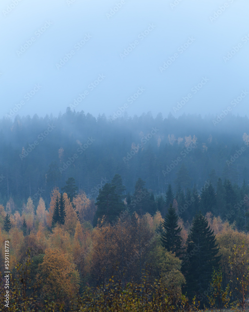 Misty mountains with autumn colored trees