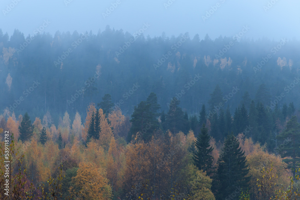 Misty mountain with fall colored trees Misty mountain with fall colored trees