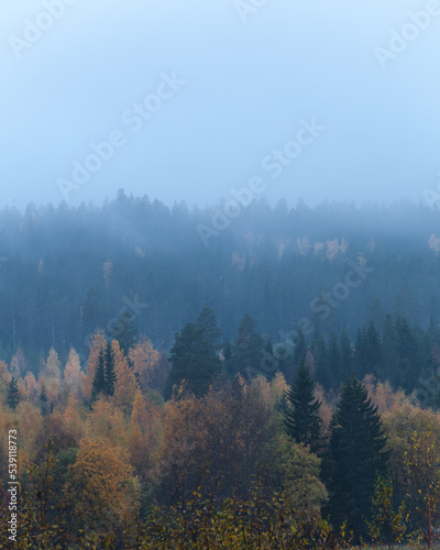 Misty mountains with autumn colored trees