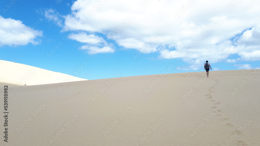 Footsteps in Dune