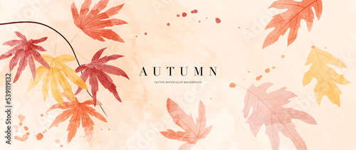 Autumn foliage in watercolor vector background. Abstract wallpaper design with maple leaves, line art, branches. Botanical in fall season illustration suitable for fabric, prints, cover, wall art.