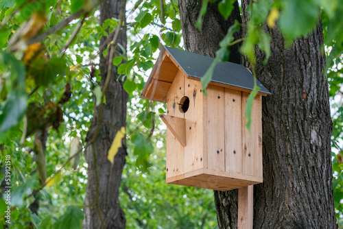 bird house on a tree