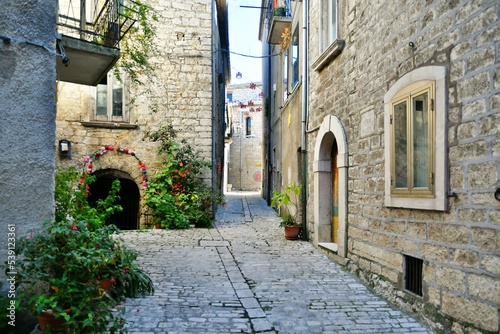 Fototapeta Naklejka Na Ścianę i Meble -  A narrow street between the old stone houses of Oratino, a medieval village in the Molise region of Italy.