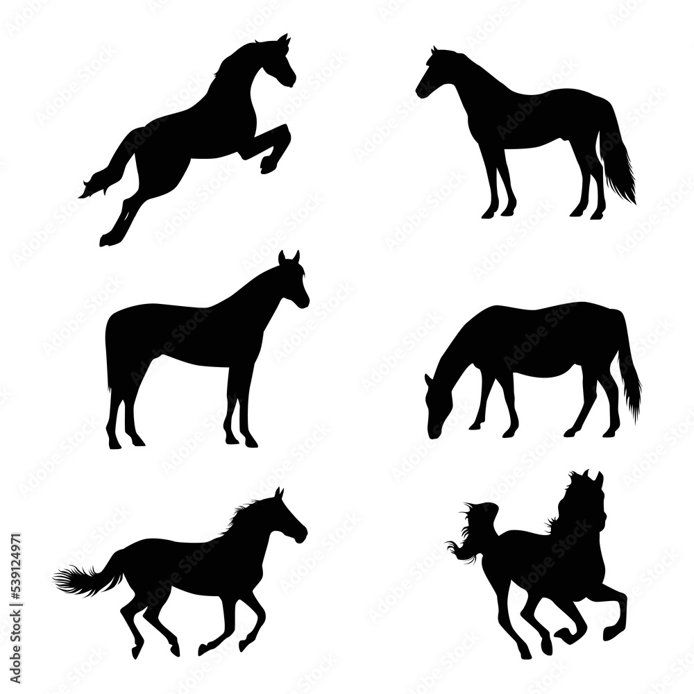 Horse black silhouettes collection. Vector illustration