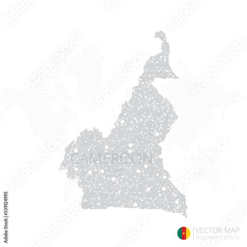 Cameroon grey map isolated on white background with abstract mesh line and point scales. Vector illustration eps 10