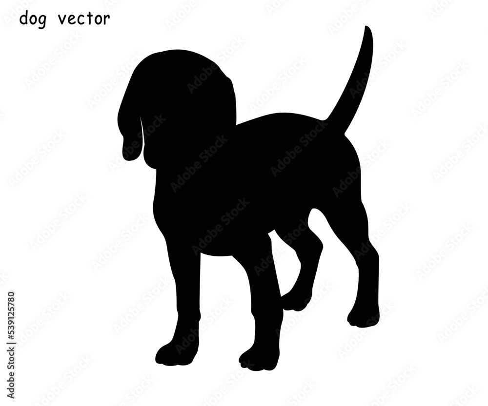Cute cool beagle set. Silhouette of flat dog in various poses and actions. Vector illustration of domestic pet behavior