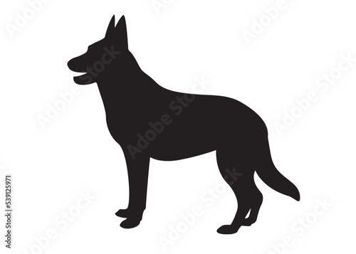 Standing dog. Black silhouette Siberian husky.Isolated background. husky dog simple black and white design - vector outline and silhouette.