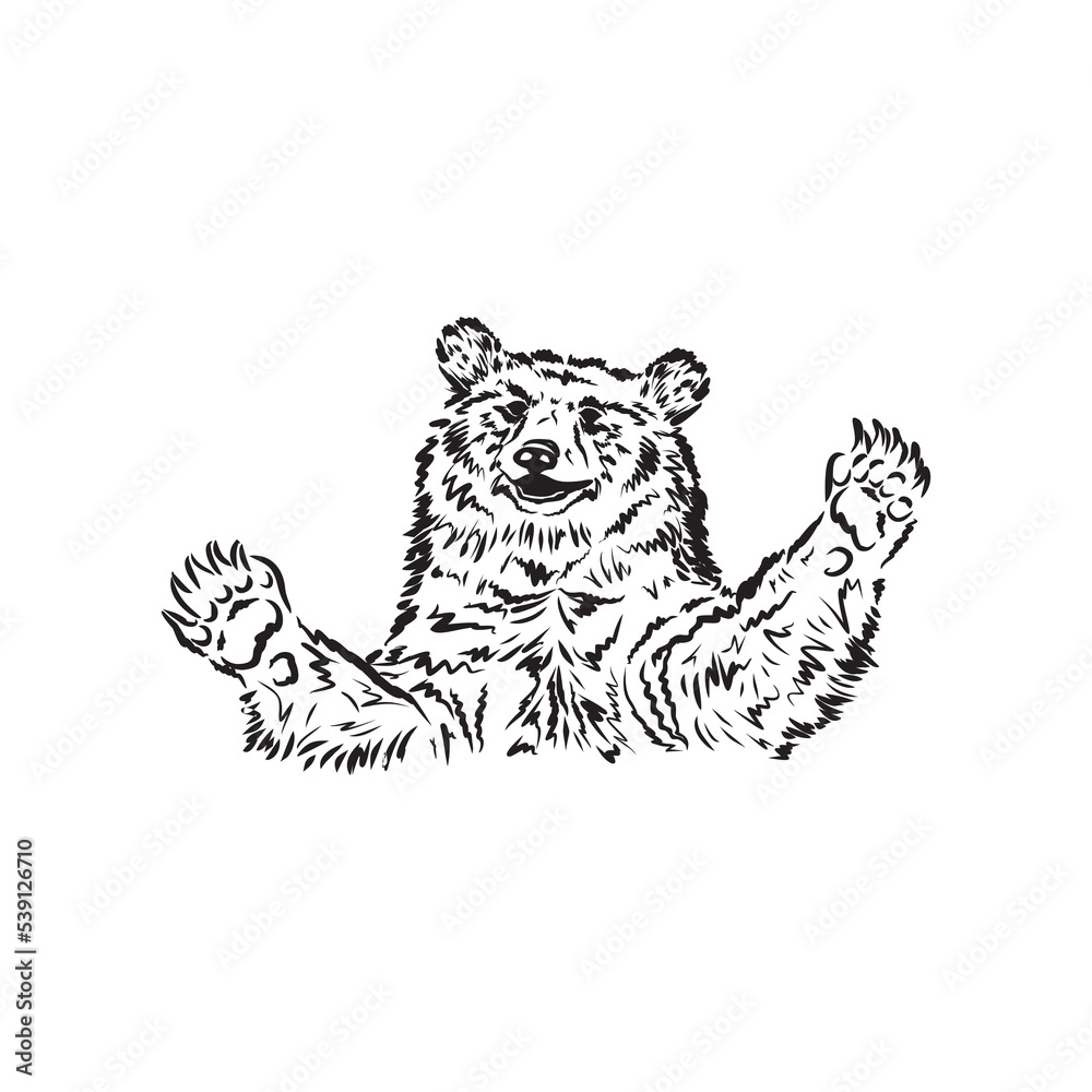 Fototapeta premium Vector illustration of a realistic bear. Smiling bear. Black and white sketch, sketch of a forest animal. Honey lover. From Siberia with love. Bear ink.