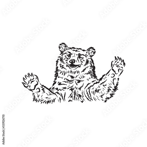 Vector illustration of a realistic bear. Smiling bear. Black and white sketch, sketch of a forest animal. Honey lover. From Siberia with love. Bear ink.