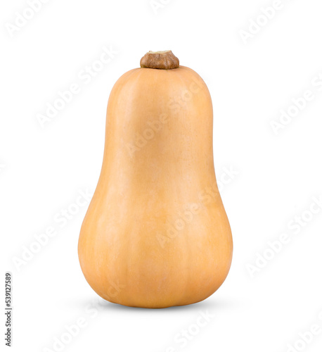 butternut squash isolated on transparent png photo