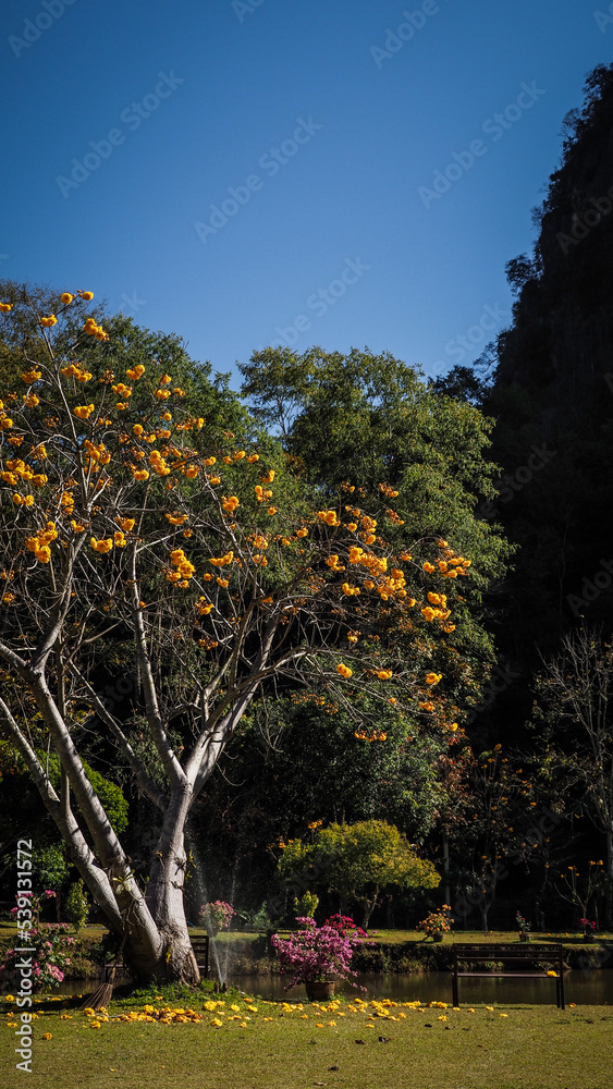 Naklejka premium The landscape along Mae Hong Son Loop in Thailand