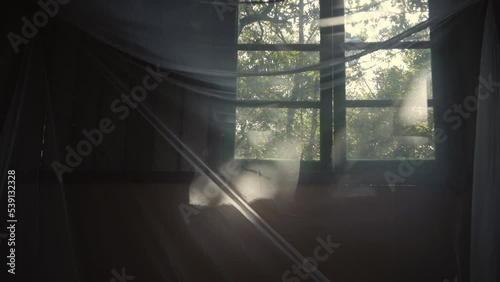 Inside a cabin in the woods looking outside from a mosquito net