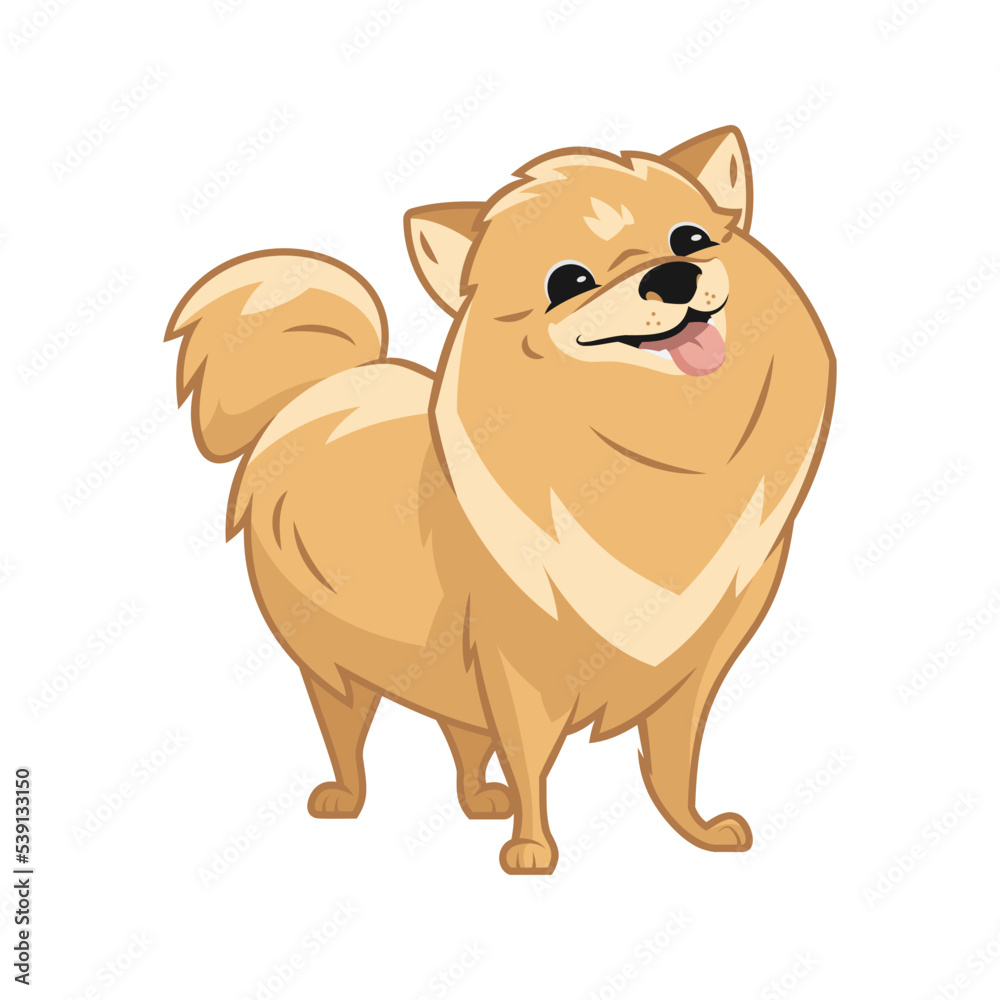 Cute pomeranian standing and smiling with tongue stick out, fluffy pom puppy, funny sweet adorable pet, lap dog with happy dog smile, cartoon style, pedigree dog, lovely doggy, front view Cute pomeranian standing and smiling with tongue stick out, fluffy pom puppy, funny sweet adorable pet, lap dog with happy dog smile, cartoon style, pedigree dog, lovely doggy, front view