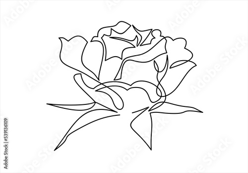 One line rose design. Hand drawn minimalism style illustration