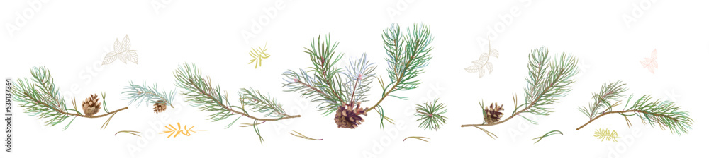 Horizontal border with pine branches and cones, needles on white background, hand digital draw, watercolor style, decorative botanical illustration for design, Christmas tree, vector Horizontal border with pine branches and cones, needles on white background, hand digital draw, watercolor style, decorative botanical illustration for design, Christmas tree, vector