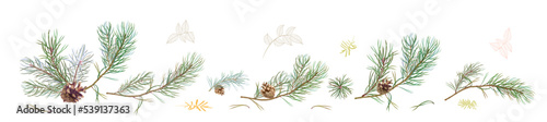 Horizontal panoramic border with pine branches and cones, needles on white background. Digital hand draw in watercolor style. Christmas tree, decorative botanical illustration for design, vector photo