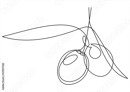 Line icon olives -Continuous one line drawing © nikvector