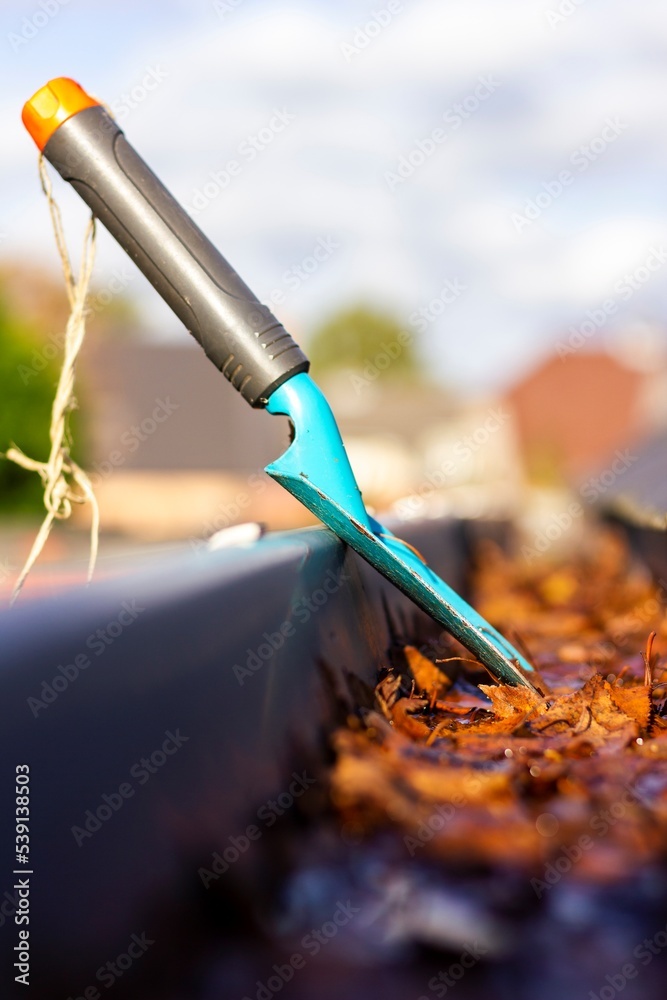 A close up portrait of a roof gutter full of fallen autumn leaves on a sunny day with a small blue garden shovel in it of someone who is cleaning the gutter during the fall season annual chore.