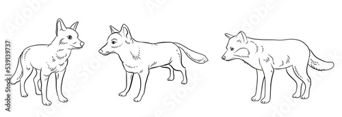 Animals. Black and white image of a fox, coloring book for children. Vector image.