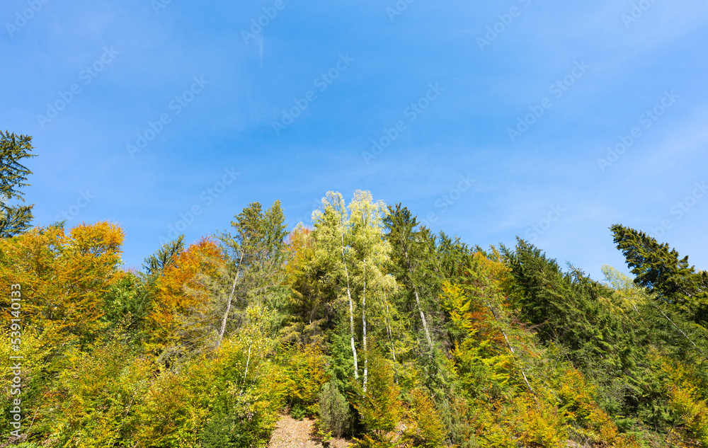 Autumn landscape of the Carpathians on a sunny day Autumn landscape of the Carpathians on a sunny day