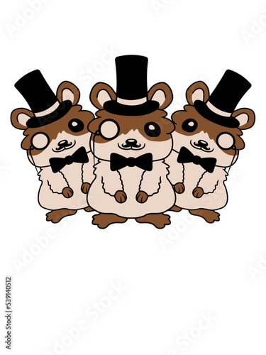 3 Zylinder Hut Hamster 