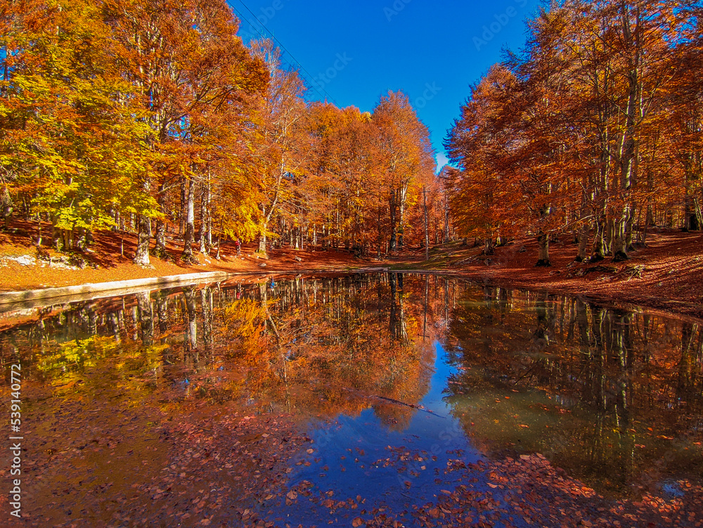 View of the fall color is reflected in the calm waters of little pond at Monte Livata during autumn day of october, Mounts Simbruini, Lazio