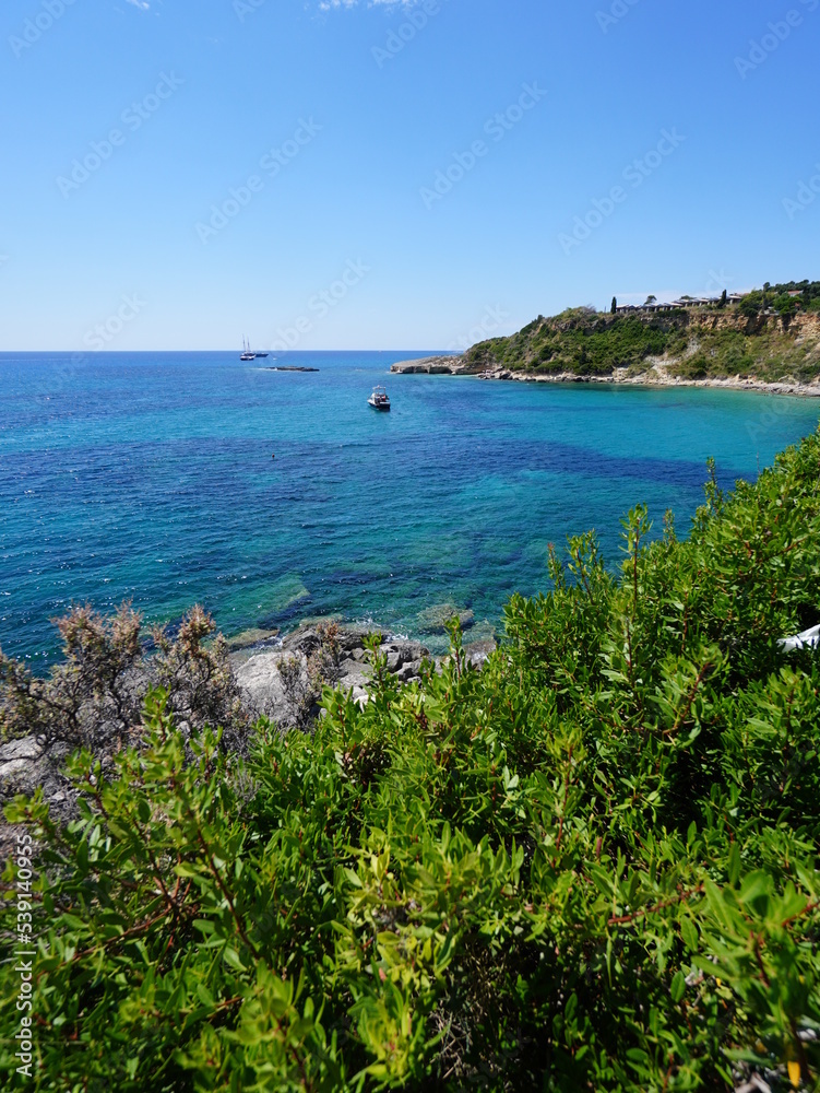 view of the coast of the sea with vegetation, wide aperture
