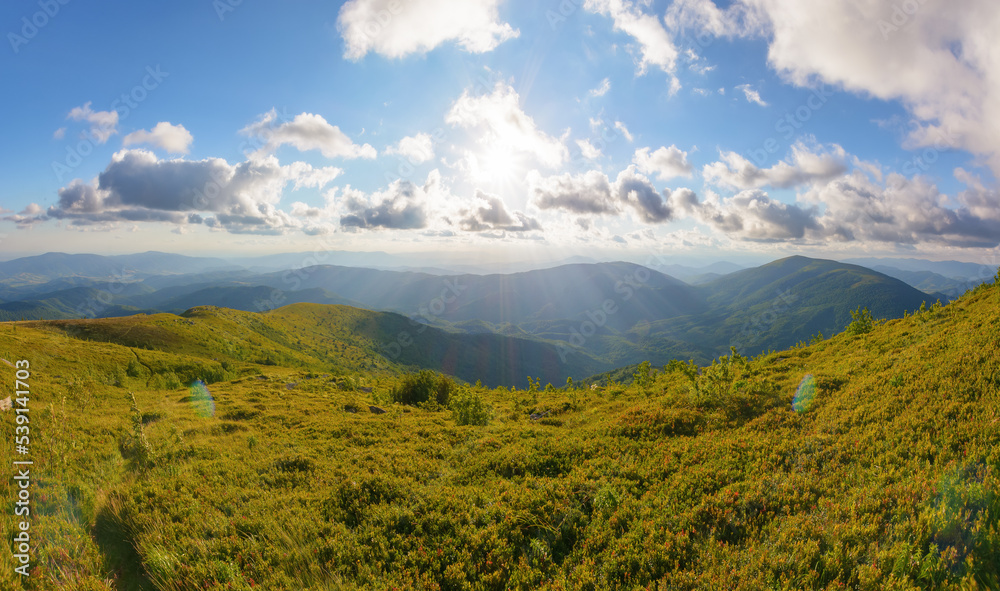 wonderful nature background in mountains. green landscape in evening light. view in to the distant valley