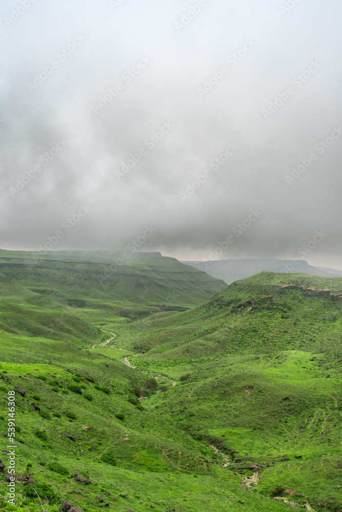 Salalah landscapes The green and wet part of Oman 