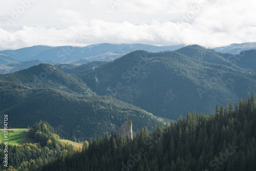 Aerial top view of autumn pine forest in Carpathians. Big rock inside the forest. Drone photography
