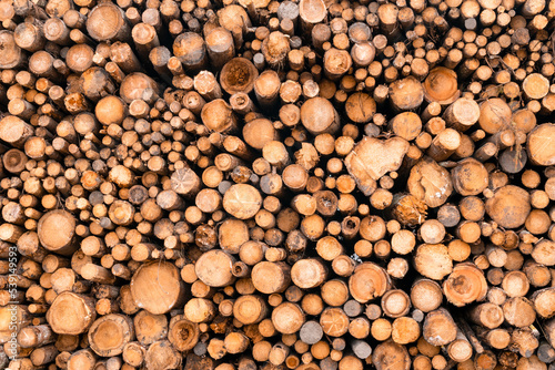 Stacked firewood as background
