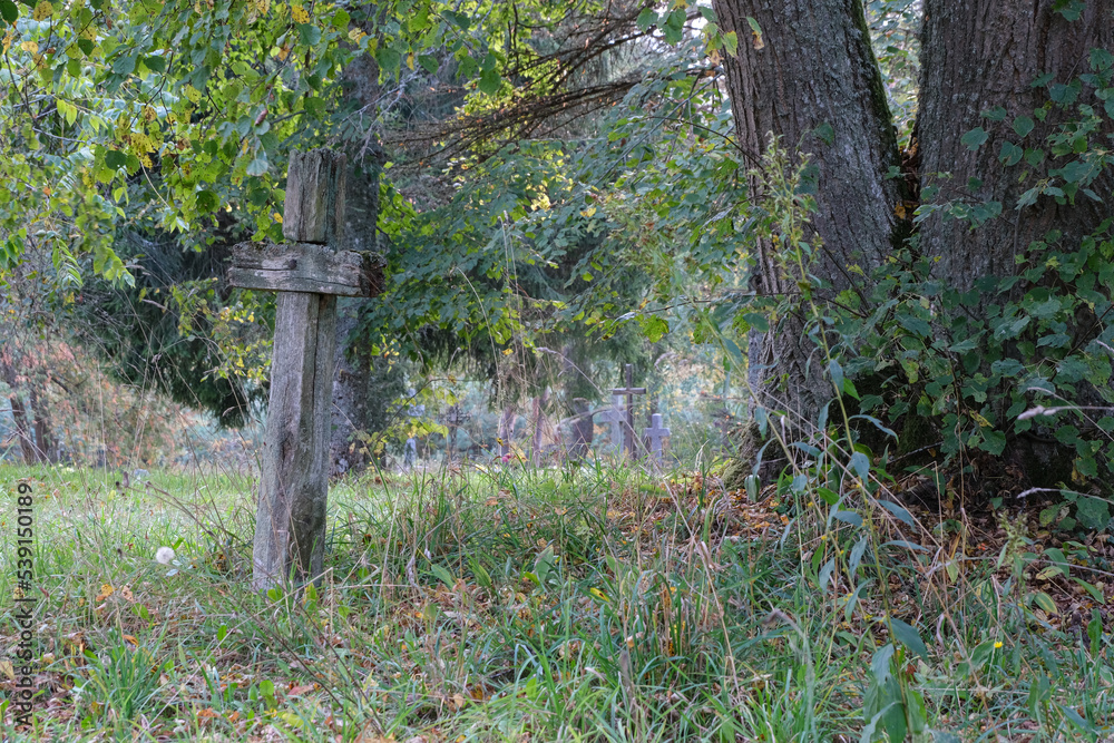old abandoned Latvia forest cemetery with huge big tree and rotting aged wooden cross old abandoned Latvia forest cemetery with huge big tree and rotting aged wooden cross