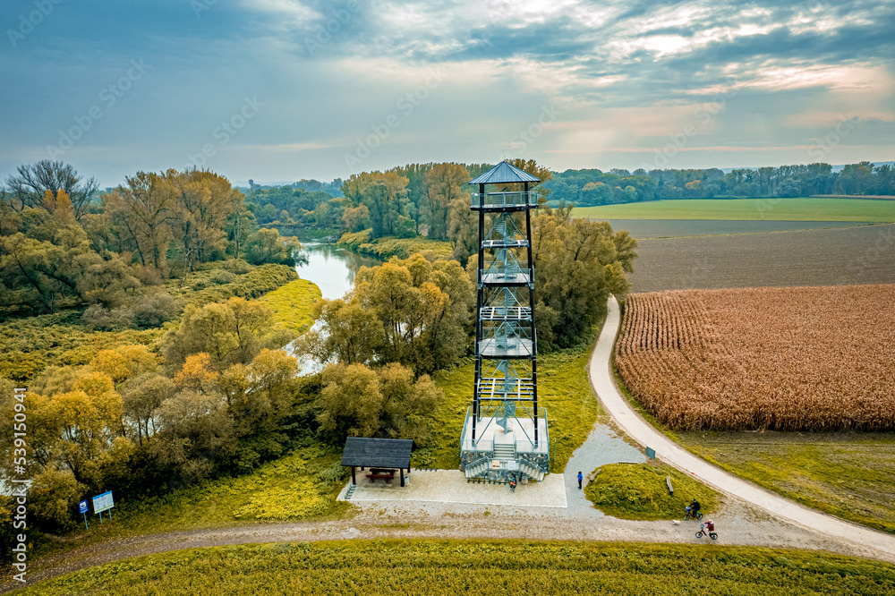 Rzeka Odra i wieża widokowa w Chałupkach na Śląsku w Polsce. Panorama jesienią z lotu ptaka