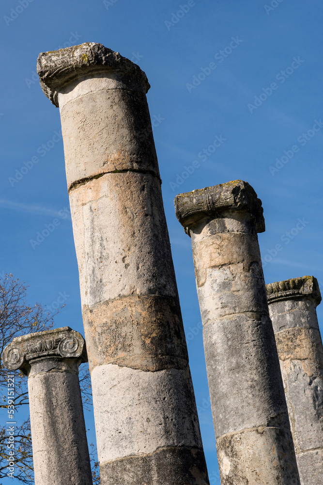 Altilia, colonne della basilica.